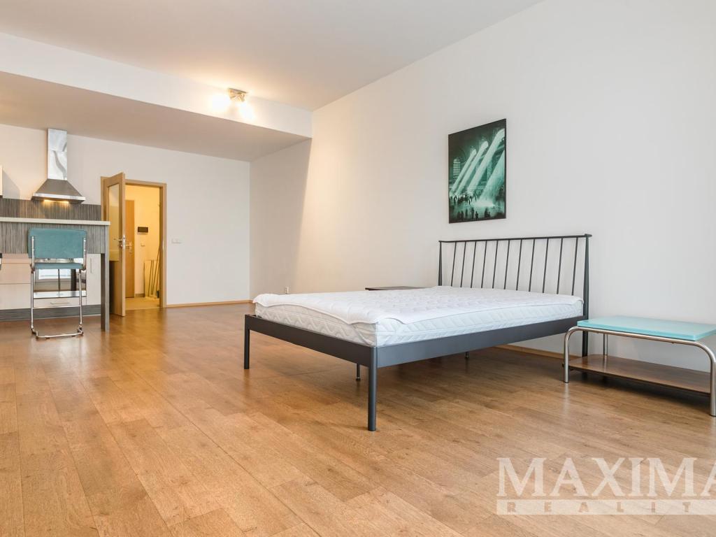 Pronájem bytu 1+kk 47 m2