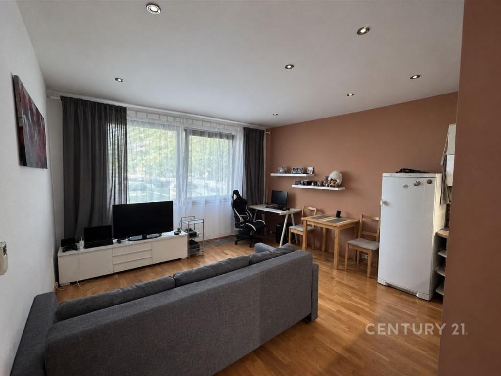 2+kk Apartment in Praha - View 2