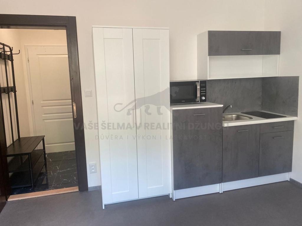 Pronájem bytu 1+kk 21 m2