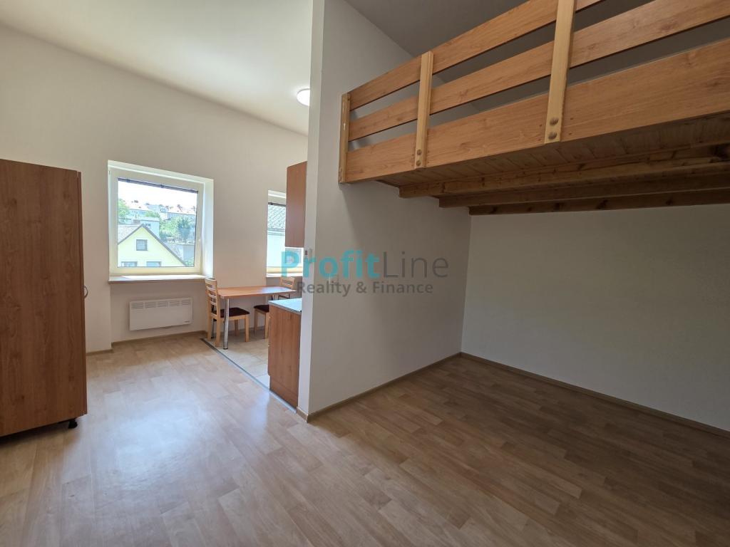 Pronájem bytu 1+kk 46 m2