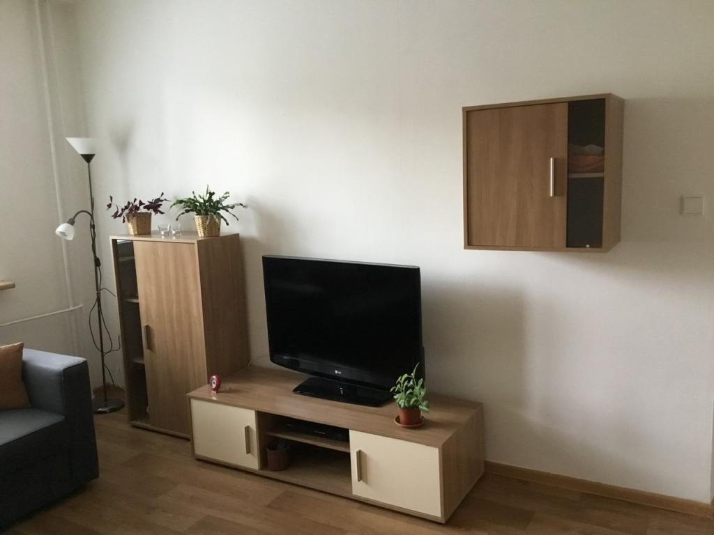 Pronajem bytu 1+1 39 m2
