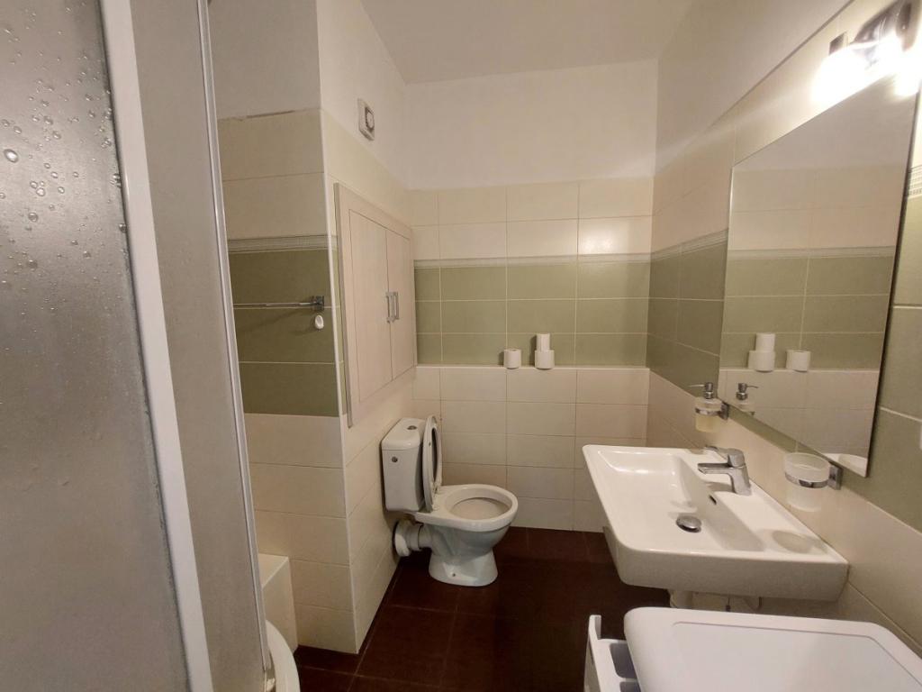 Pronájem bytu 1+1 36 m2