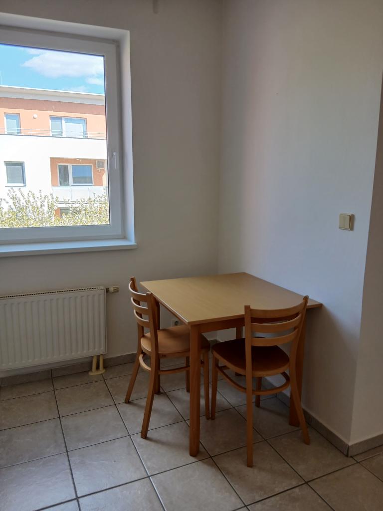 Pronájem bytu 1+kk 48 m2
