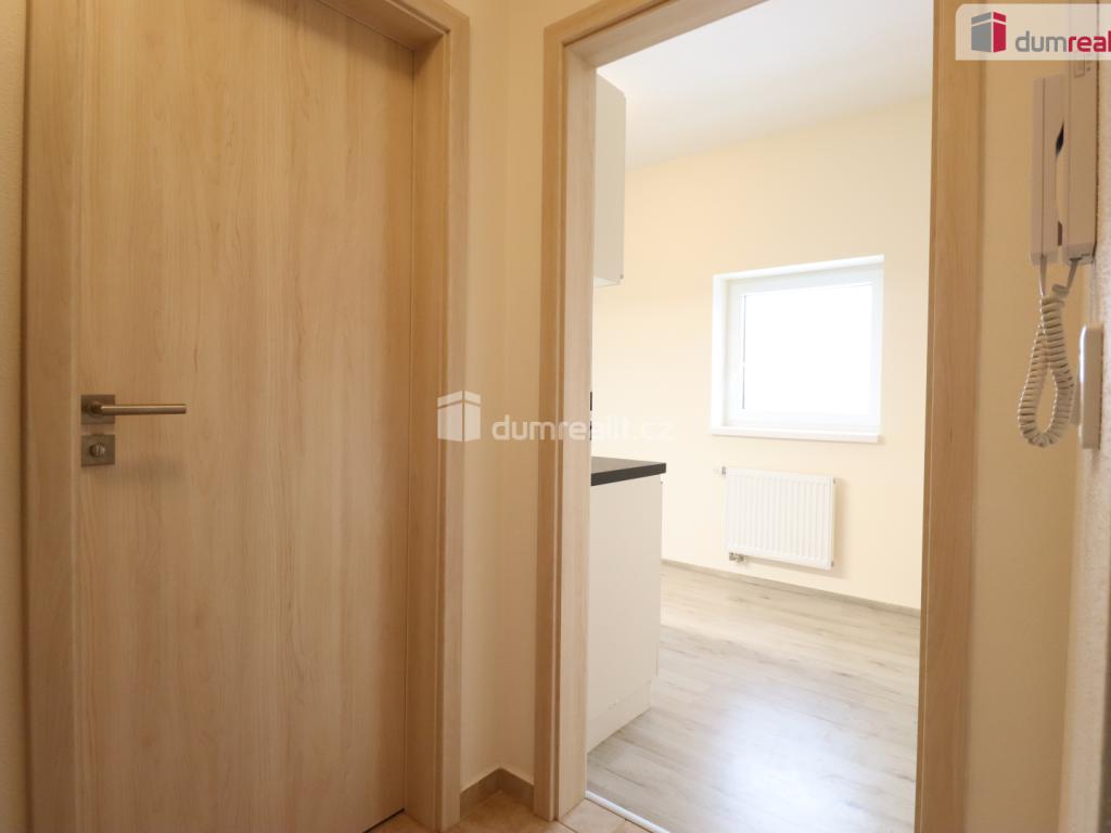 Pronájem bytu 2+kk 39 m2, Nová Role – náhled fotky 10