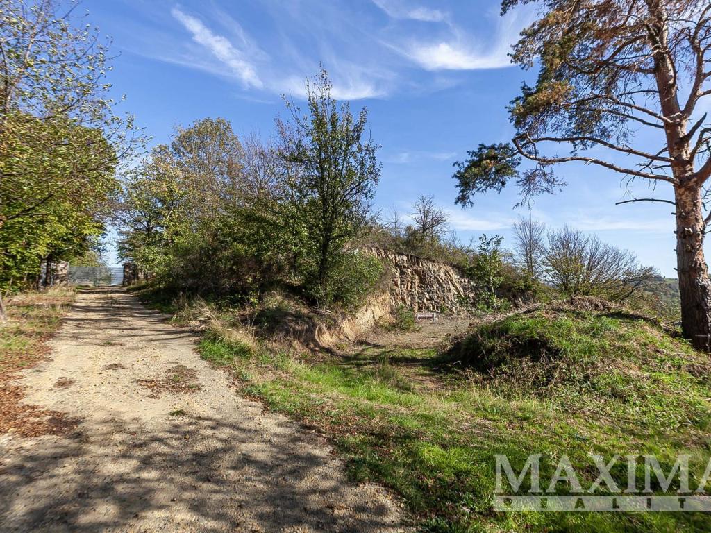 Prodej pozemku 7462 m2, Solenice – náhled fotky 7