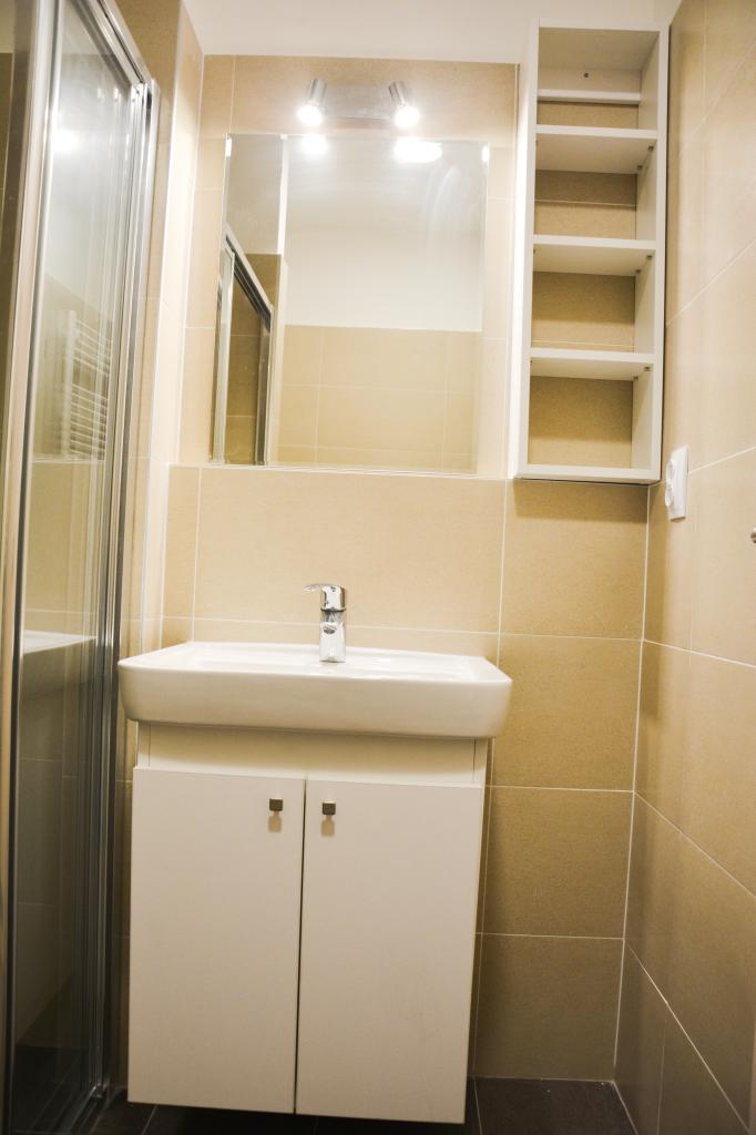 Pronájem bytu 1+kk 46 m2