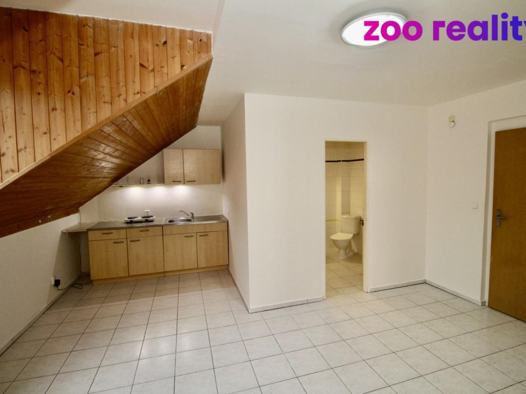 Pronájem bytu 1+kk 33 m2