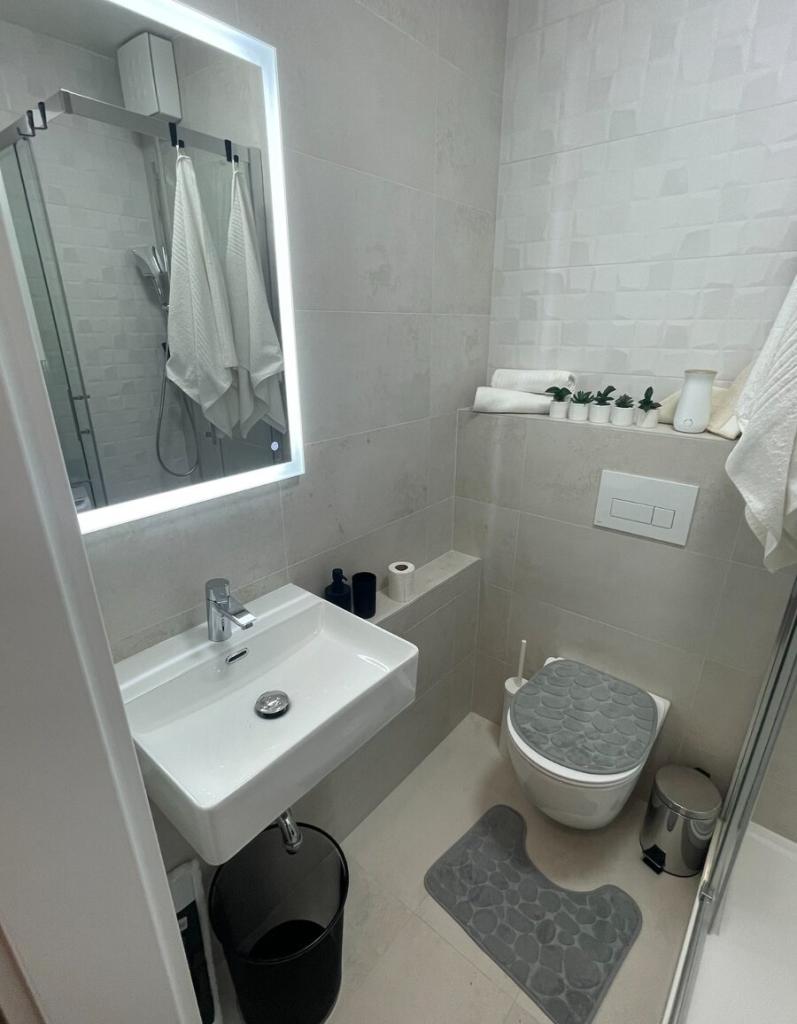 Pronájem bytu 1+1 46 m2
