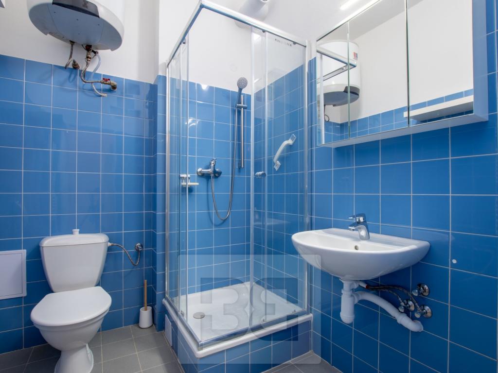 Pronájem bytu 1+kk 25 m2