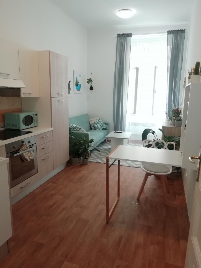 Pronajem bytu 2+kk 38 m2