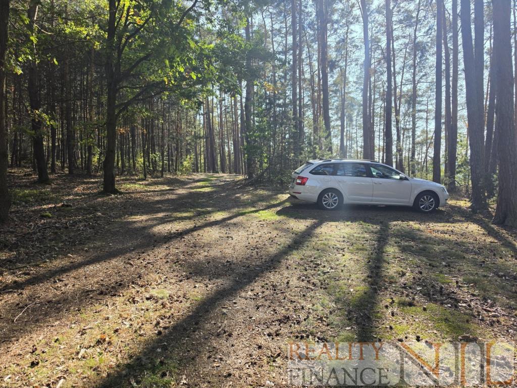 Prodej domu 54 m2, Pňovany – náhled fotky 24