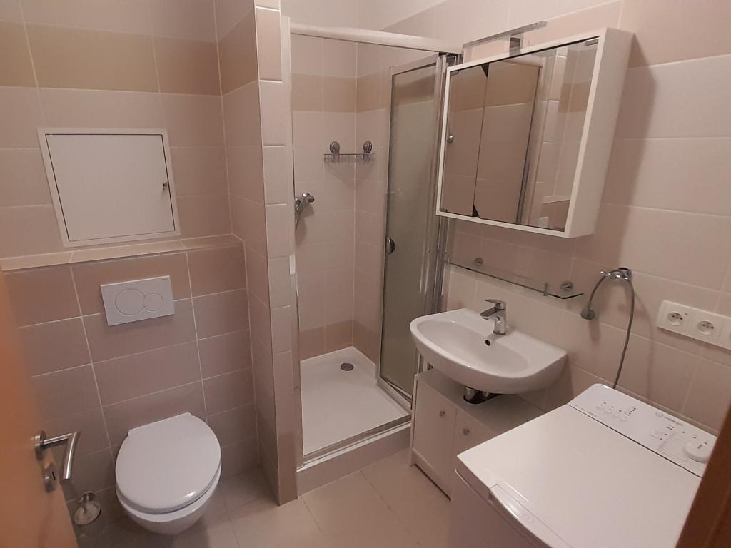 Pronájem bytu 1+kk 44 m2