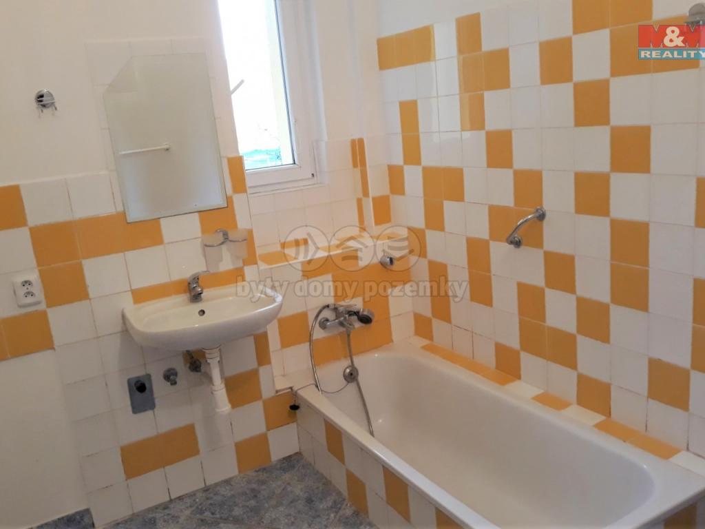Pronajem bytu 2+1 50 m2