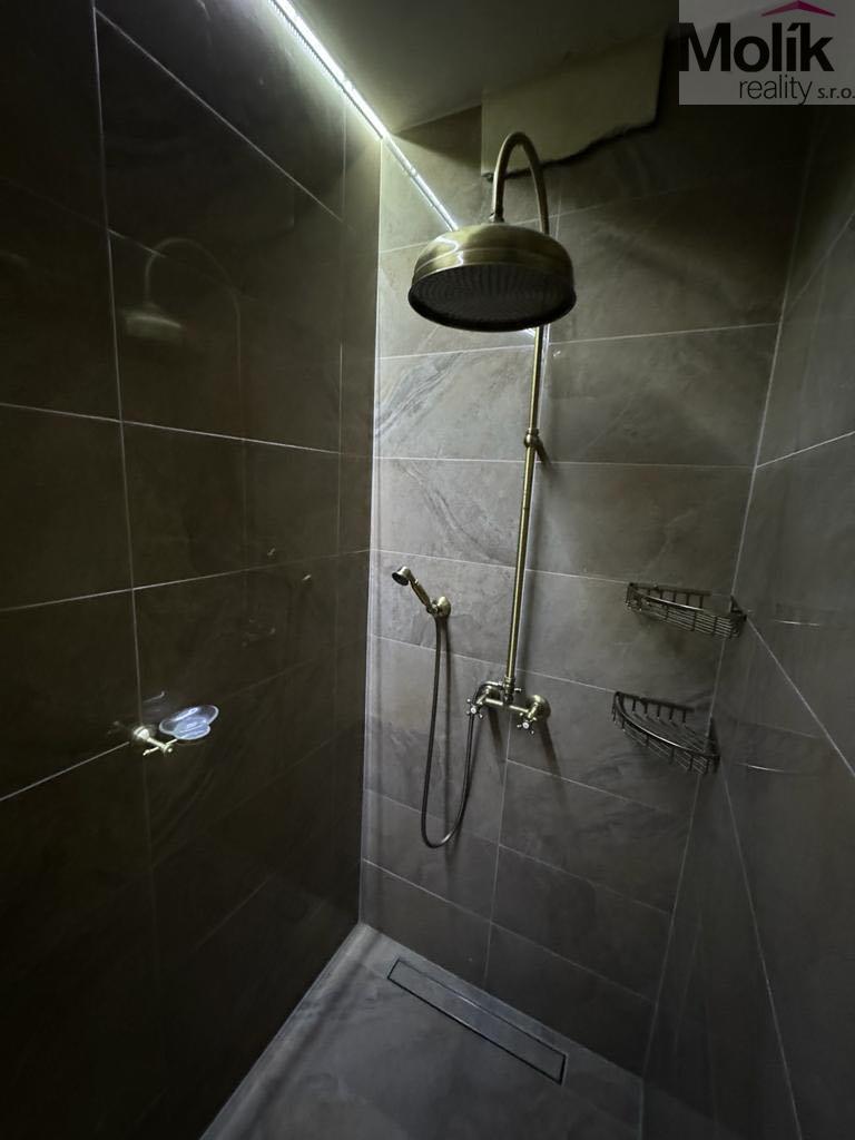 Pronájem domu 160 m2