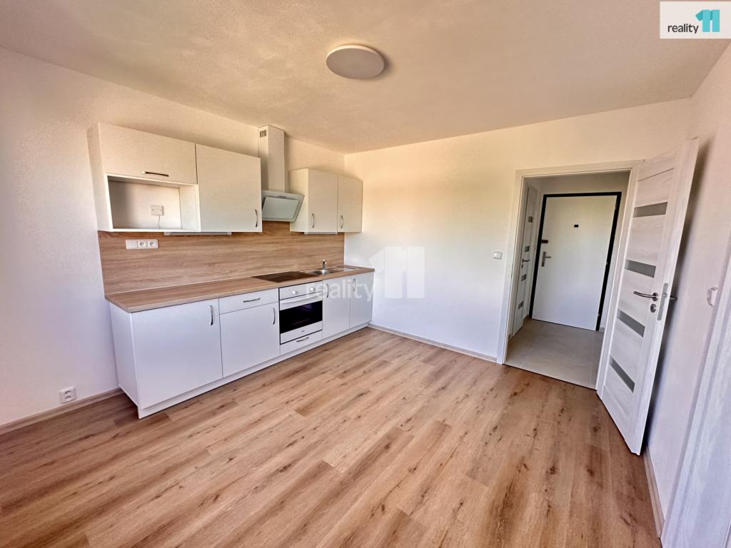 Pronájem bytu 1+1 34 m2