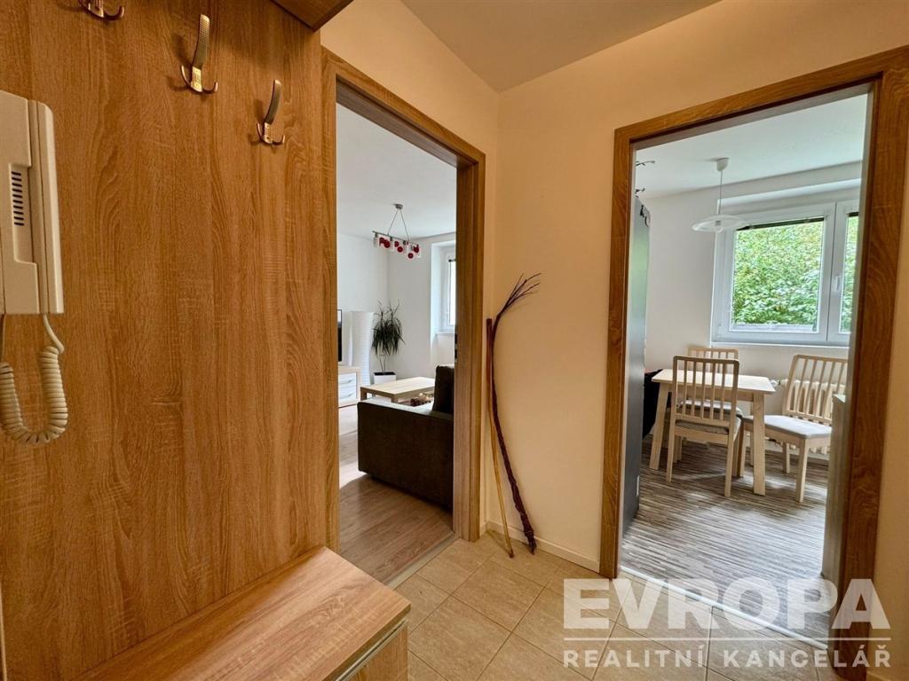 Pronájem bytu 1+1 30 m2, Plzeň – náhled fotky 15