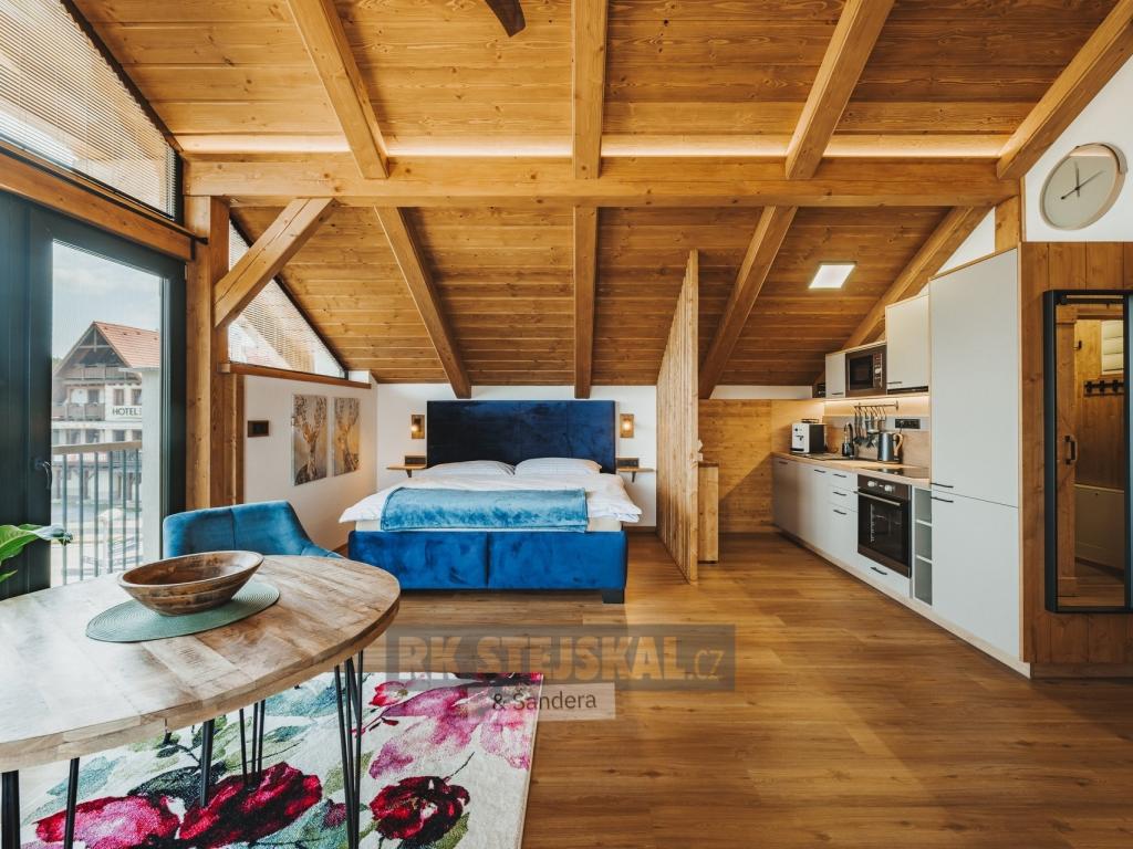 Pronájem bytu 1+kk 42 m2