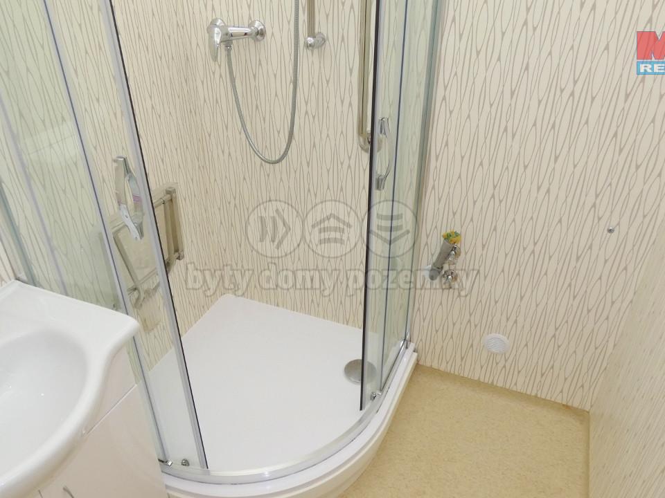 Pronajem bytu 3+1 68 m2