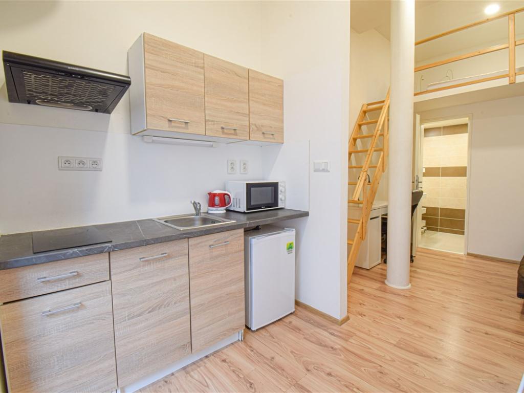 Pronájem bytu 1+kk 23 m2