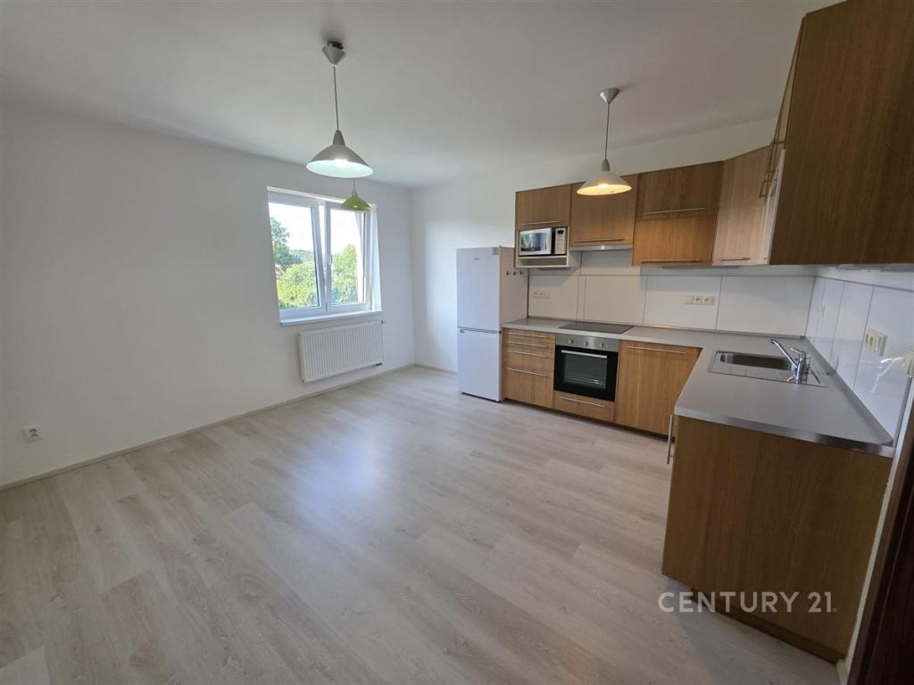 Pronájem bytu 2+kk 59 m2