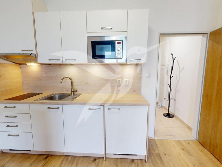 Pronájem 1+kk, Plzeň - Technická, 11500 Kč, 28 m2