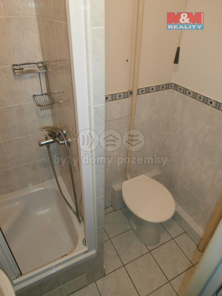 Pronajem bytu 1+kk 30 m2