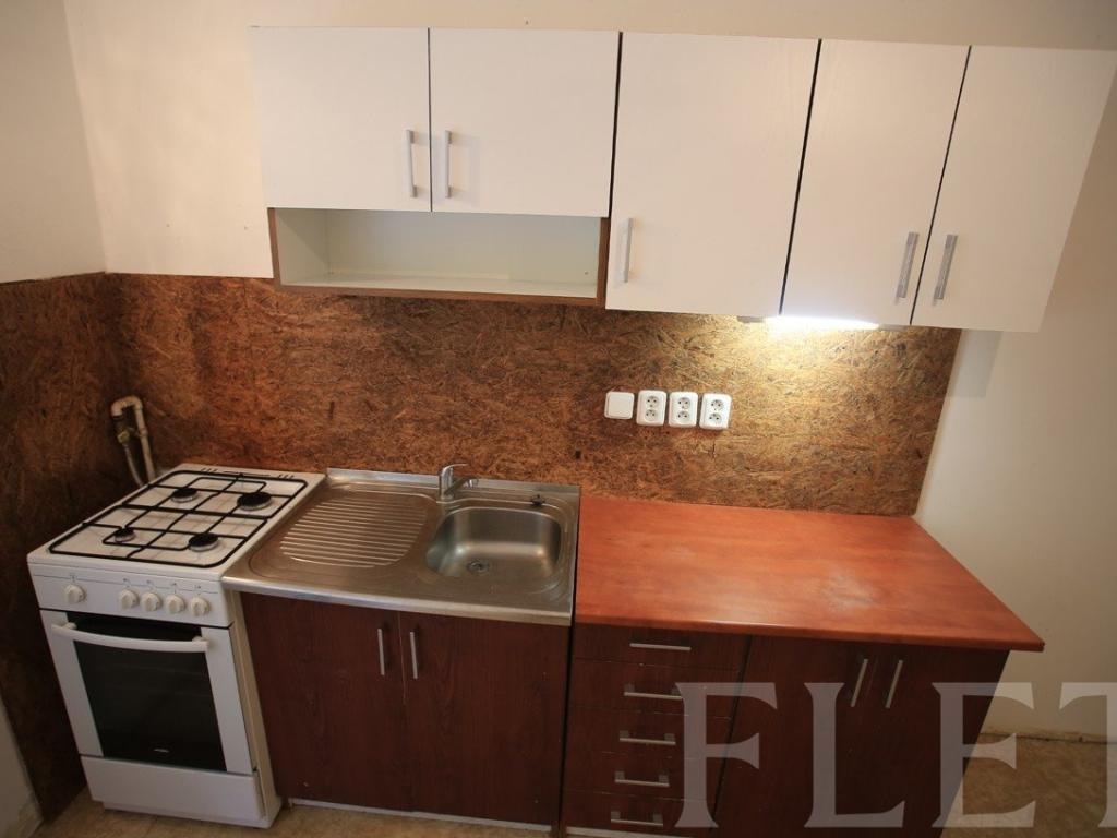 Pronájem bytu 1+1 50 m2, Praha – náhled fotky 8