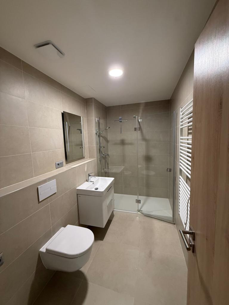 Pronájem bytu 1+kk 45 m2