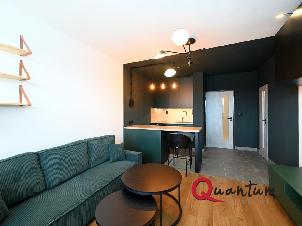 Pronájem bytu 1+kk 30 m2