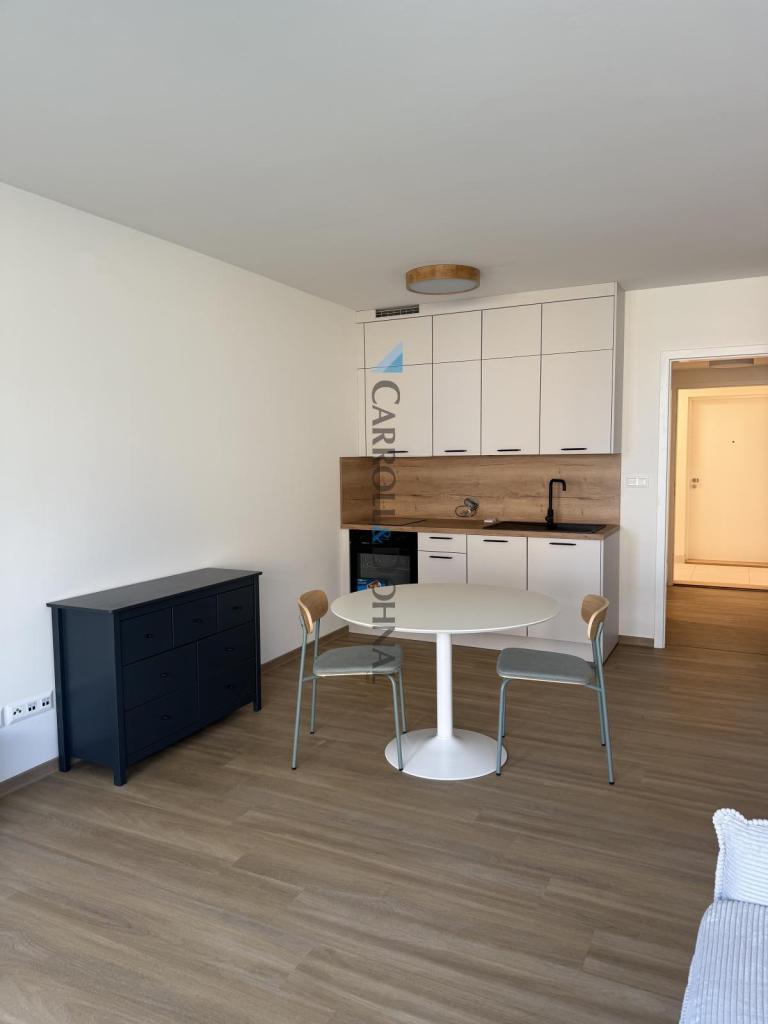 Pronájem 1+kk, Ostrava - U Hájenky, 15000 Kč, 34