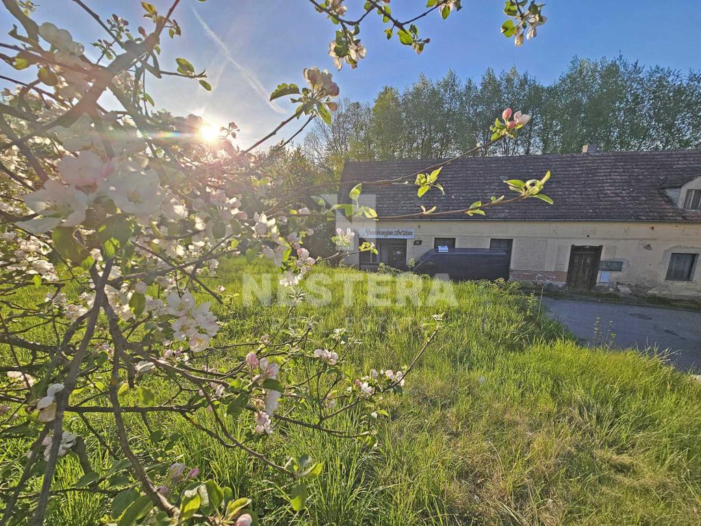 Prodej domu 650 m2