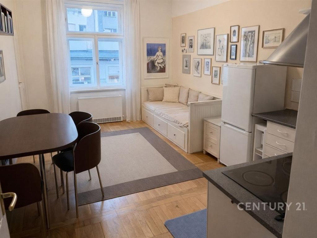 Pronájem bytu 1+1 47 m2