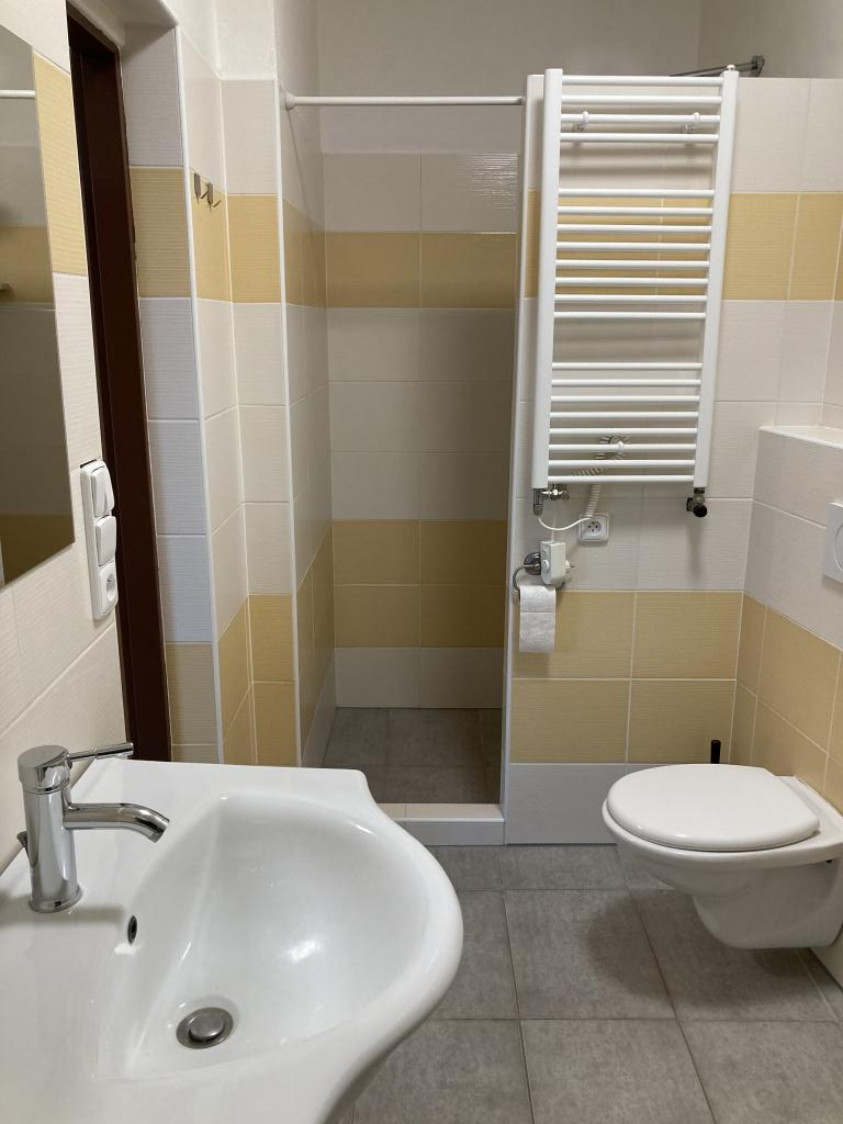 Pronajem bytu 1+kk 55 m2