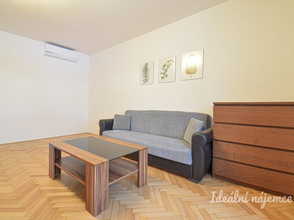 Pronájem bytu 1+1 37 m2