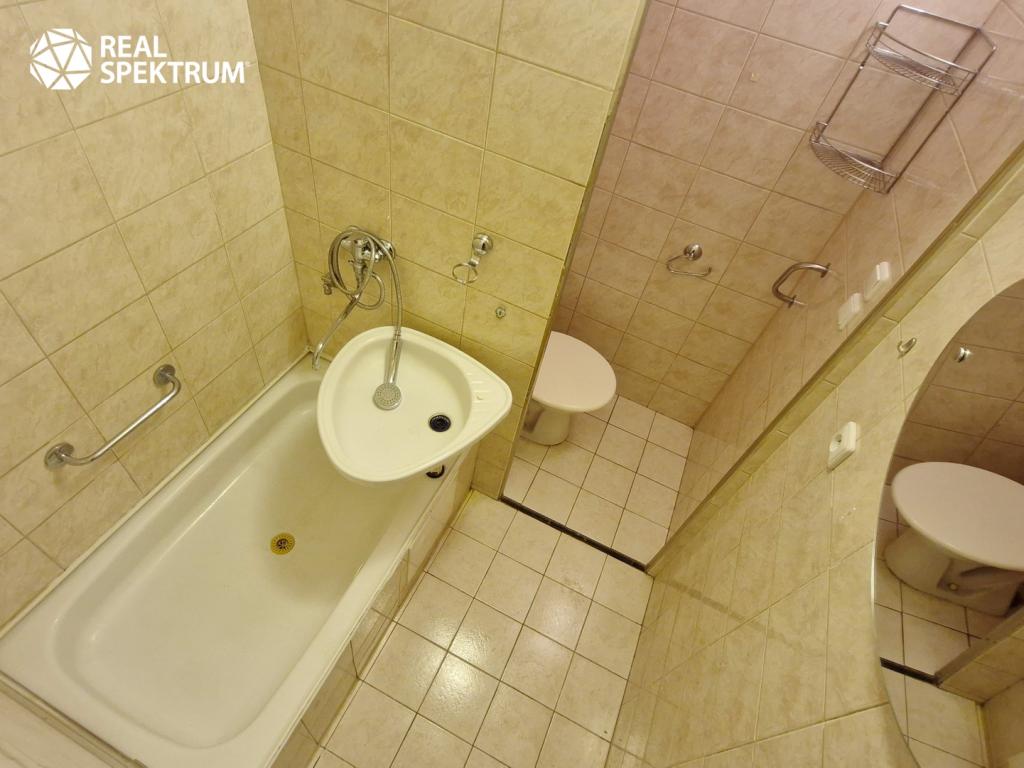 Pronájem bytu 1+1 30 m2