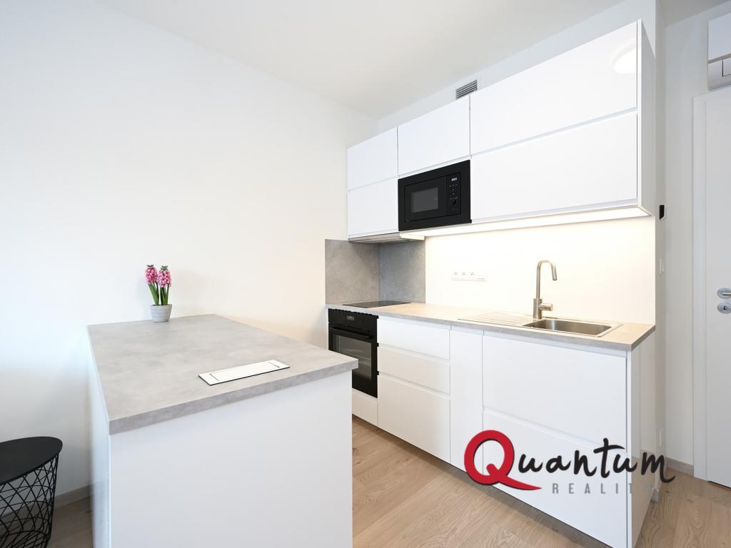 Pronájem bytu 1+kk 33 m2