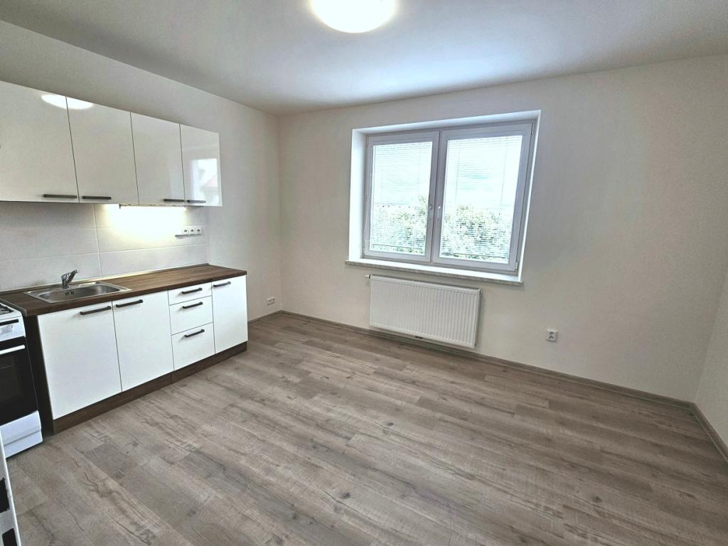 Pronájem bytu 1+1 45 m2
