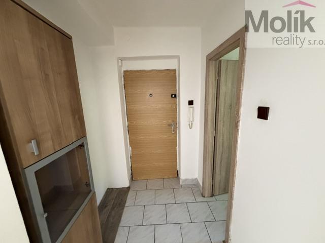 Pronájem bytu 2+1 51 m2, Litvínov – náhled fotky 9