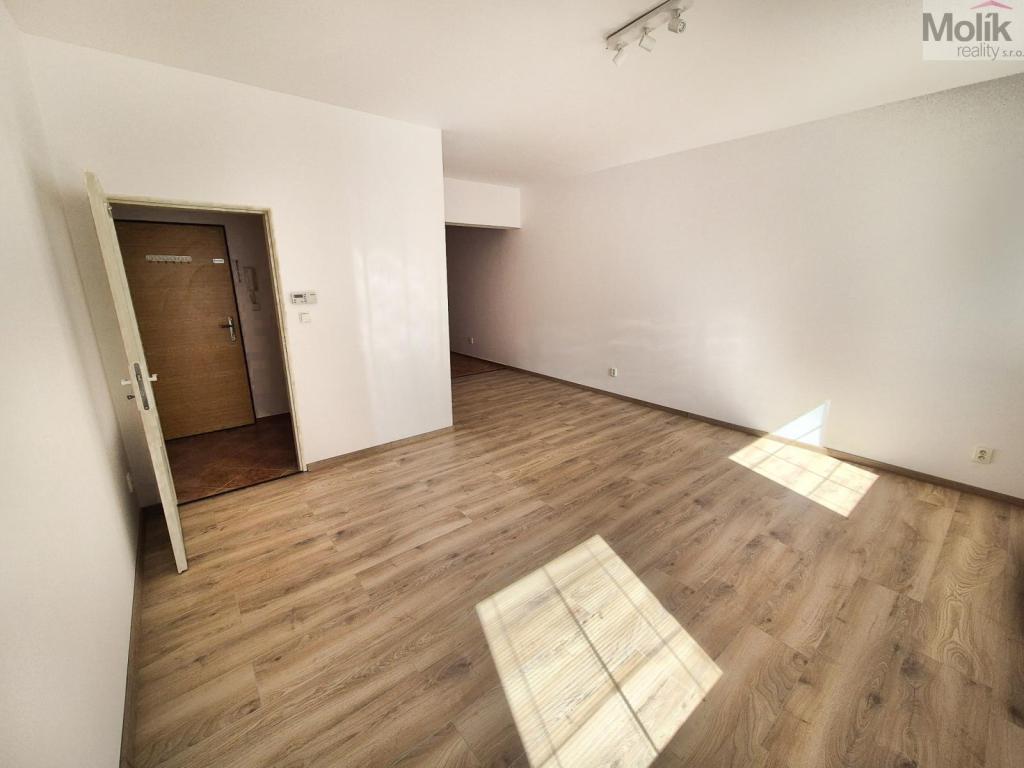 Pronájem bytu 1+1 42 m2