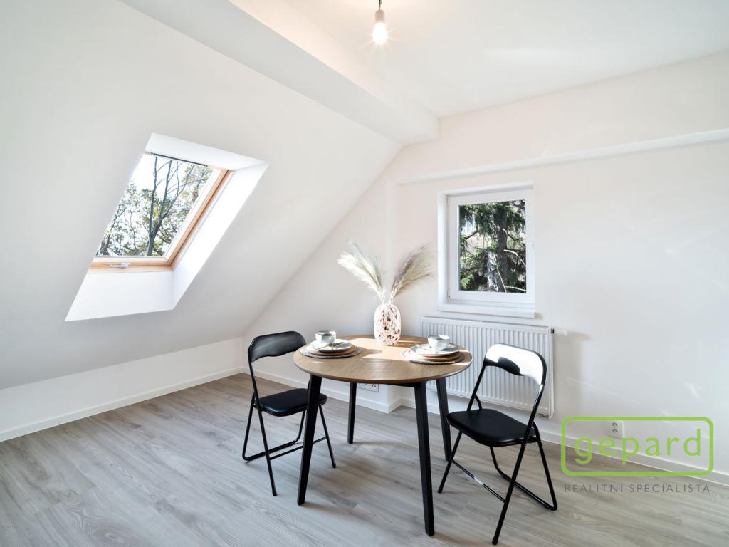 Pronájem 1+kk, Liberec - Generála Svobody, 11000