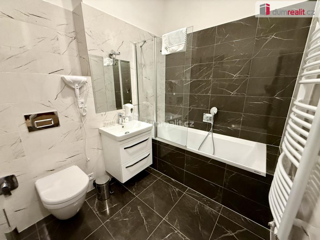 Pronájem bytu 3+1 125 m2