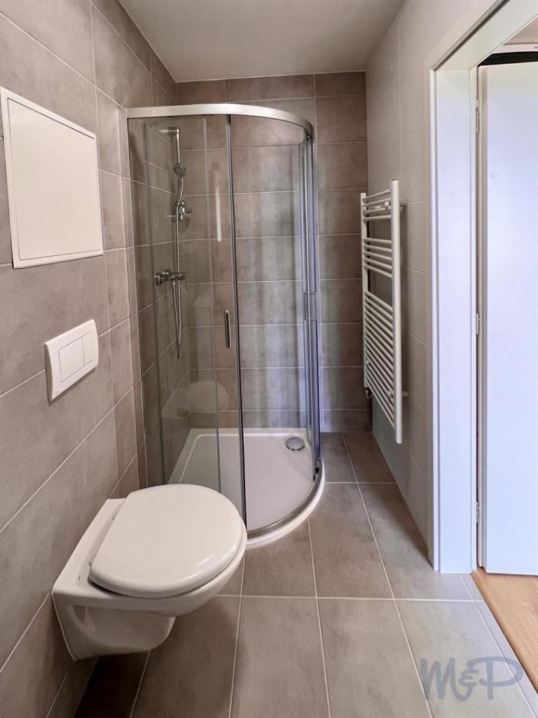 Pronájem bytu 1+kk 45 m2