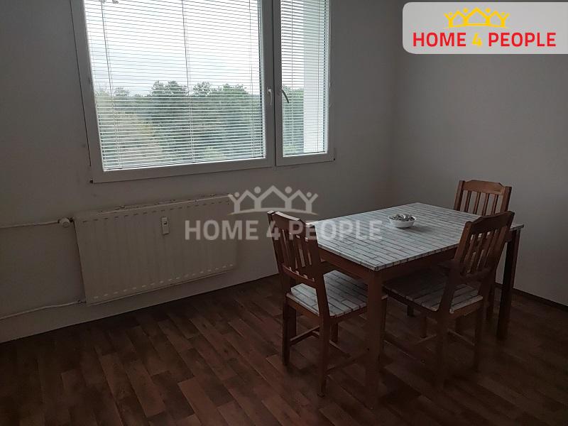 Pronájem bytu 1+1 39 m2