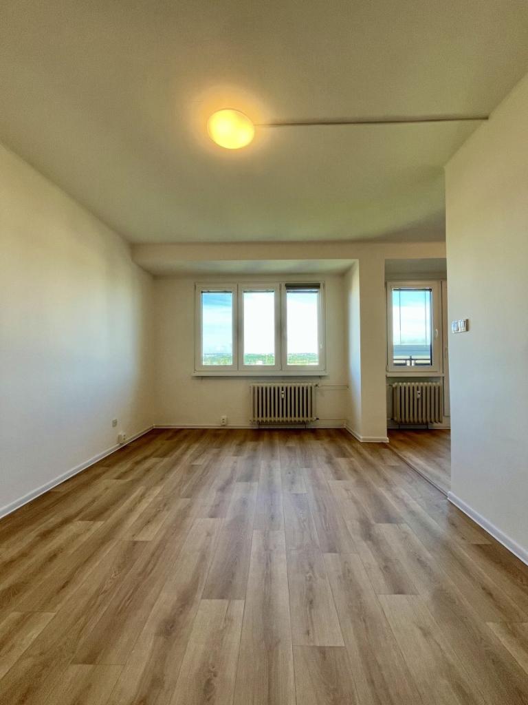 Pronájem bytu 1+1 39 m2