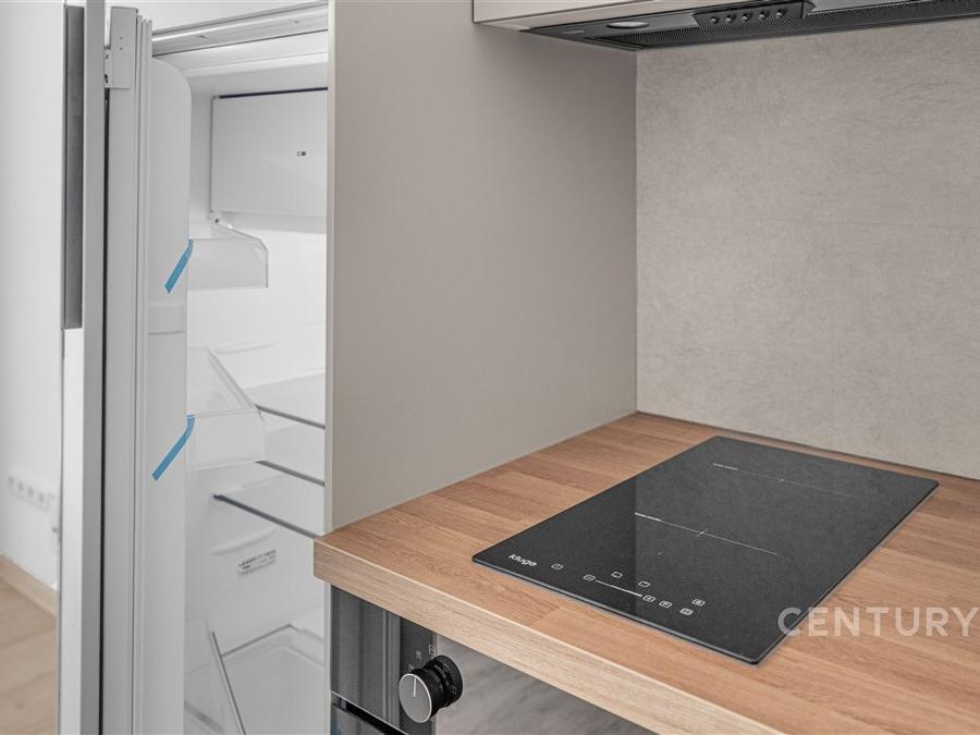 Pronájem bytu 1+kk 29 m2, Milovice – náhled fotky 7