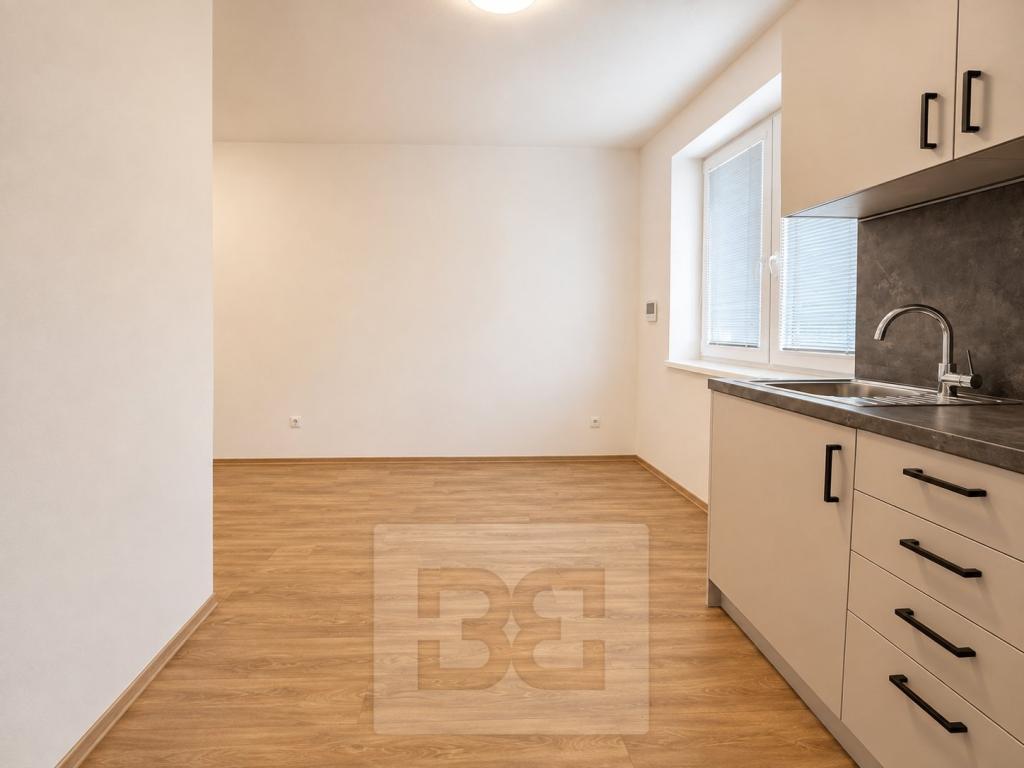 Pronájem bytu 2+1 50 m2