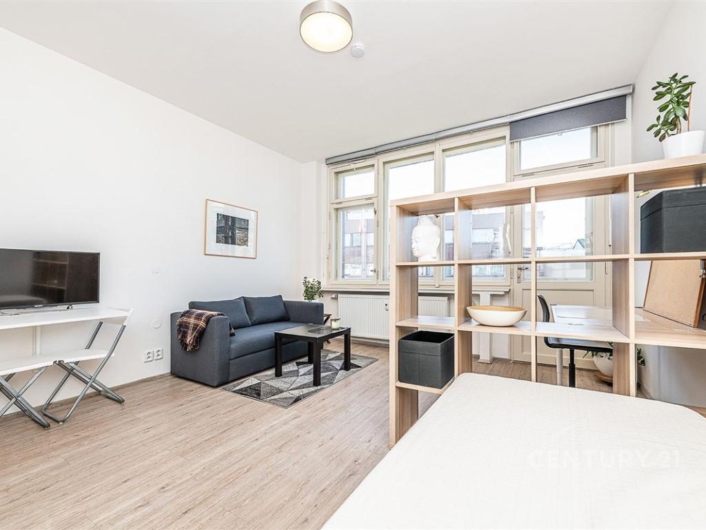 Pronájem bytu 1+1 30 m2