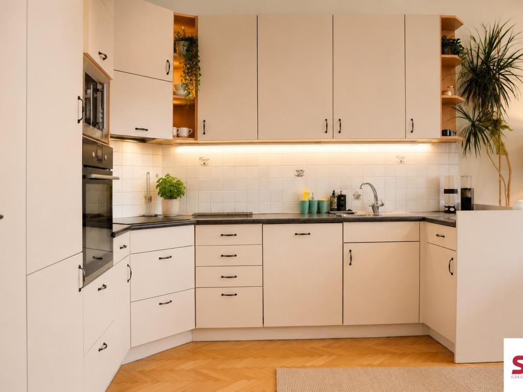 Pronájem bytu 2+kk 100 m2