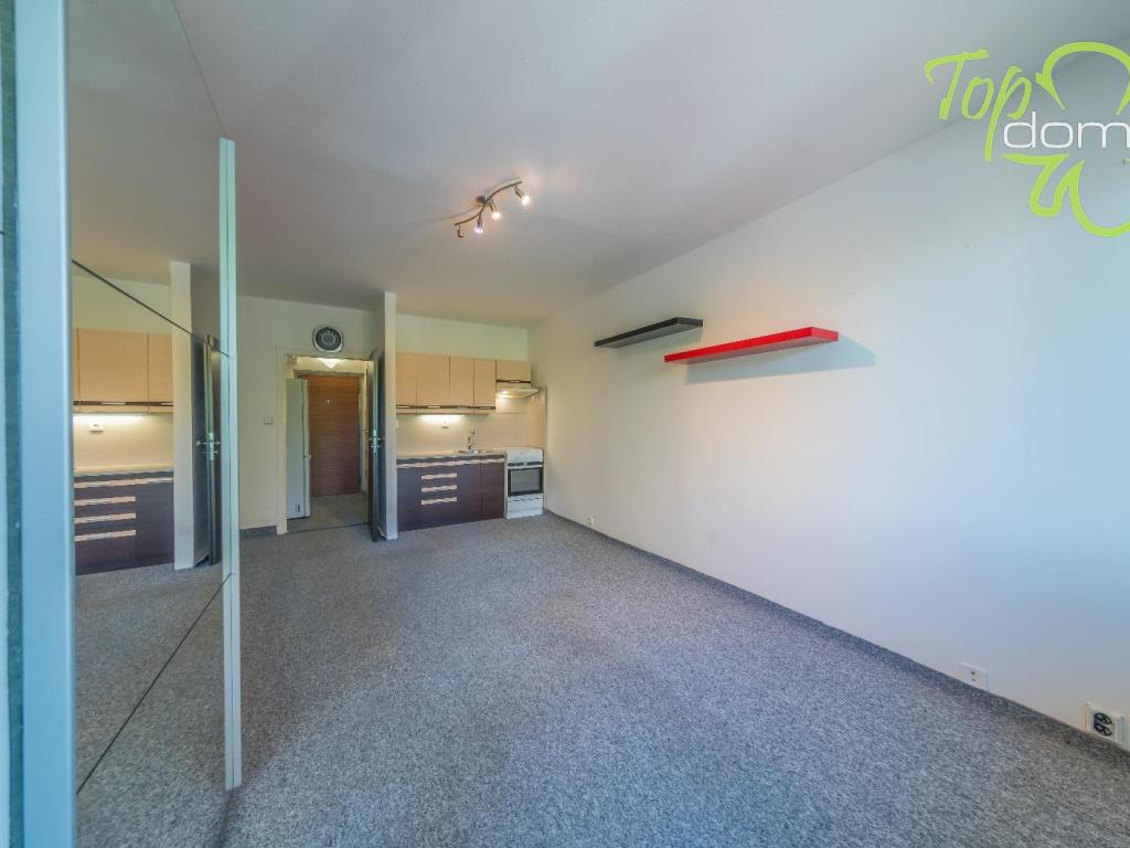 Pronájem bytu 1+kk 30 m2