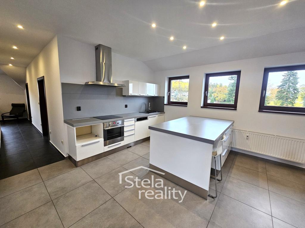 Pronájem bytu 4+kk 160 m2